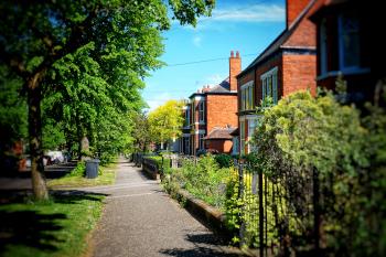 Picture of a leafy green suburb in Hull