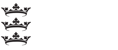 Working for hull city council logo