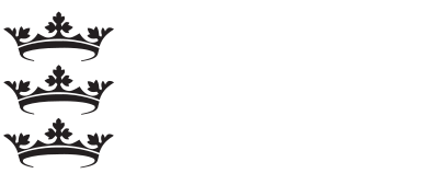 Working for Hull City Council logo